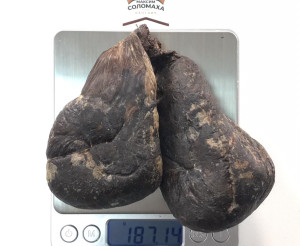 Струя бобра сухая 187 гр