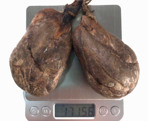 Бобровая струя сухая 171 грамм