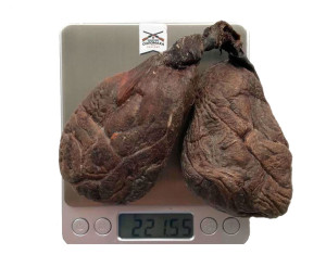 Бобровая струя сухая 221 гр